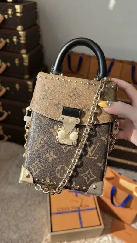 شنطة - Louis Vuitton / شامل علبة الشركة