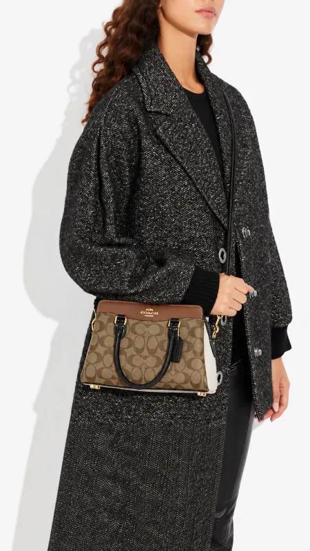 شنطة - Coach / شامل Dust Bag